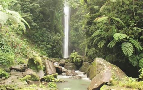 Unveiling the Treasures: Top 20 Tourist Spots in .